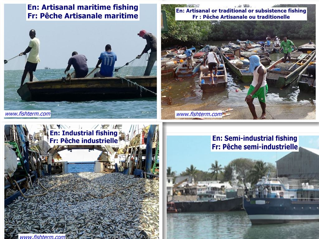 Types of fishing in Cameroon --Types de pêche au Cameroun