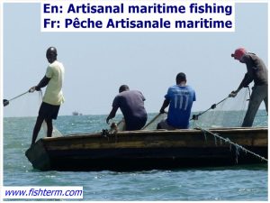 pêche Artisanale maritime - Artisanal maritime fishing 1