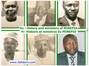 History-and-ministers-of-MINEPIA-Histoire-et-ministres-du-MINEPIA