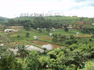 National Zootechnical, Veterinary and Fisheries Training Centres (CNFZV)