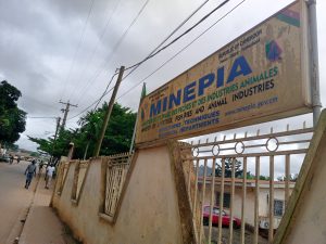 MINEPIA technical departments at Mvog-betsi, Yaounde