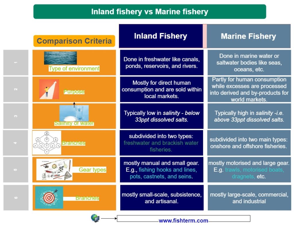 Difference between inland fishery and marine fishery