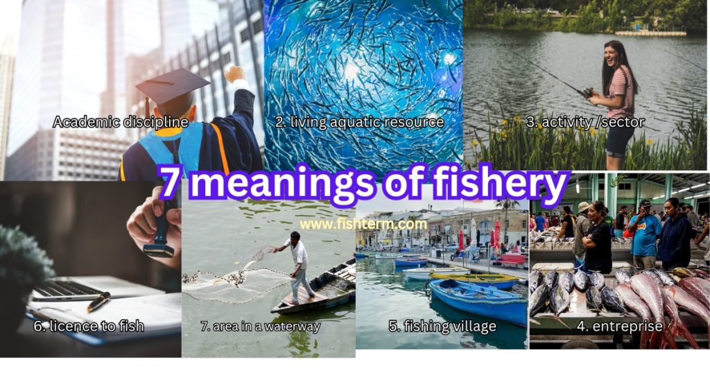 Different meanings of fishery-fisheries