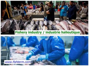 Fishery industry / industrie halieutique