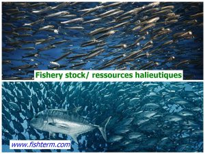 fishery resources- ressources halieutiques