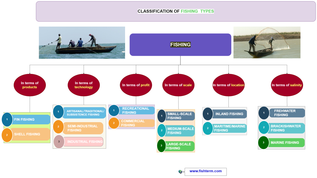  Types of fishing