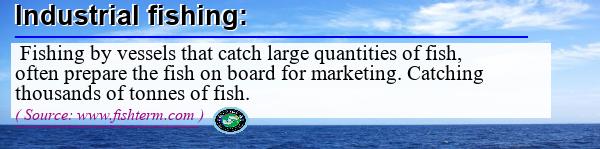 Image: Definition of industrial fishing