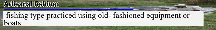 Image: Definition of artisanal fishing