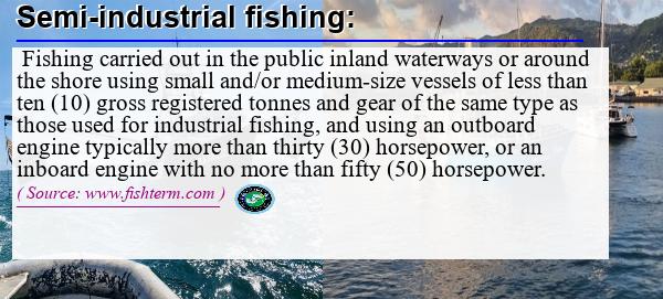 Image: Definition of semi-industrial fishing