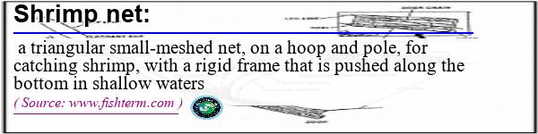 Image: Definition of shrimp net