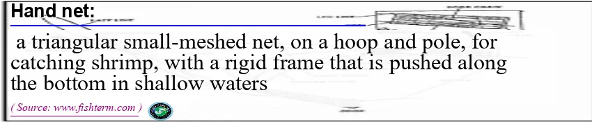 Image: Definition of shrimp net