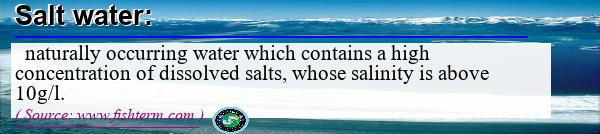 Image: Definition of salt water