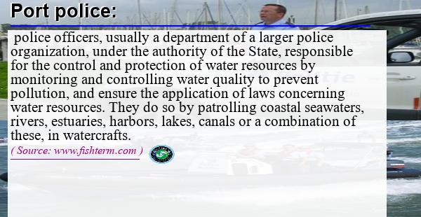 Image: Definition of port police