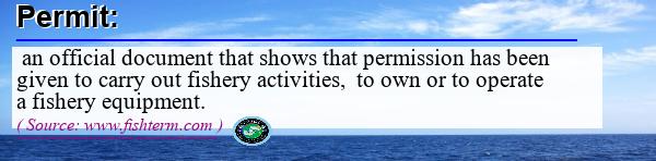 Image: Definition of permit