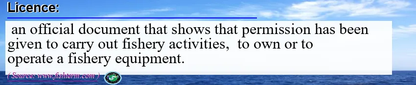 Image: Definition of licence