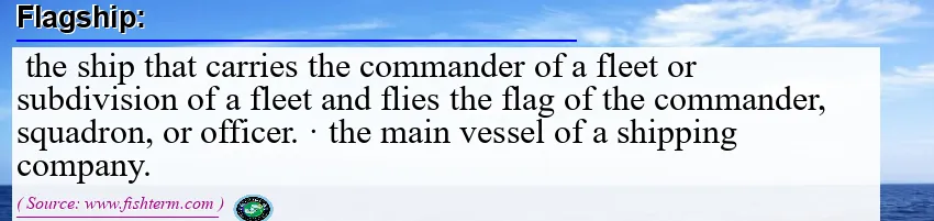 Image: Definition of flagship