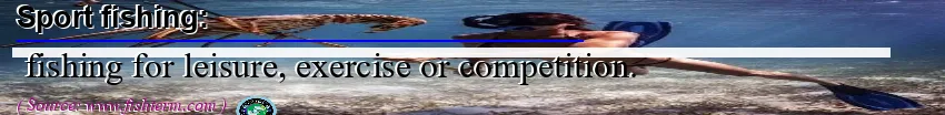 Image: Definition of sport fishing