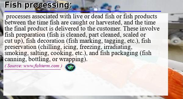 Image: Definition of fish processing