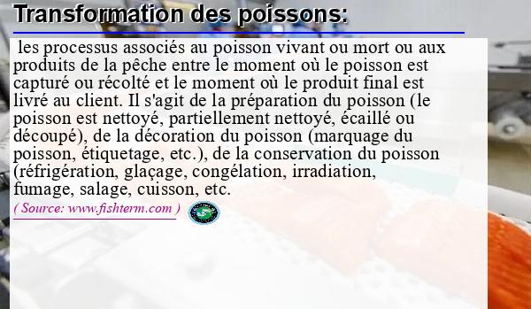 Image :  Définition de transformation des poissons