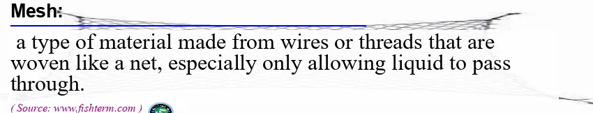 Image: Definition of mesh