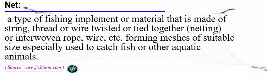 Image: Definition of net