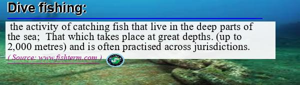 Image: Definition of dive fishing