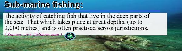 Image: Definition of sub-marine fishing