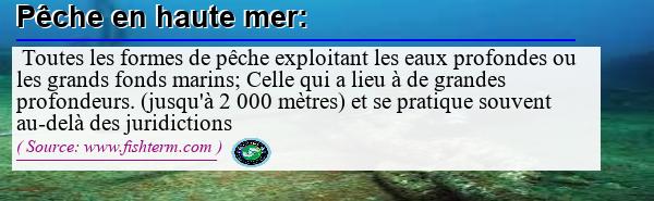 Image :  Définition de pêche en haute mer