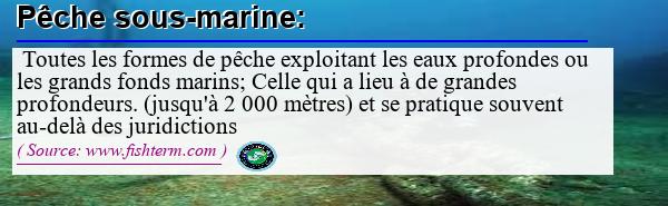 Image :  Définition de pêche sous-marine