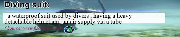 Image: Definition of diving suit