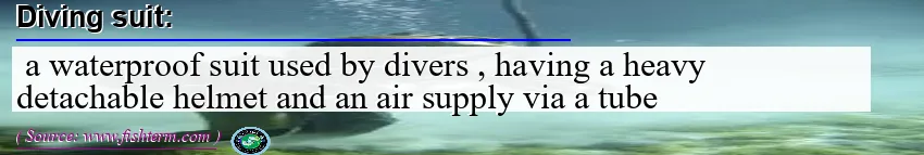 Image: Definition of diving suit