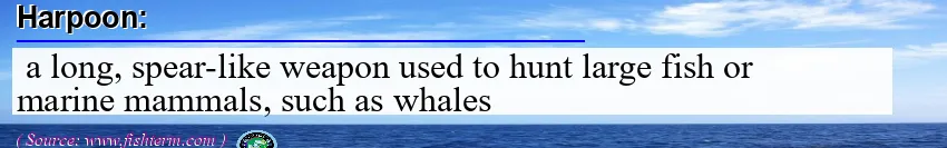 Image: Definition of harpoon