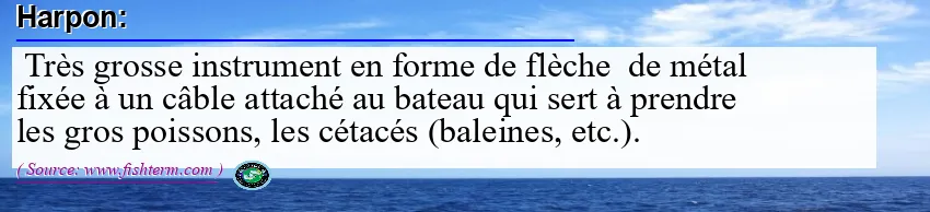 Image: Definition of harpon