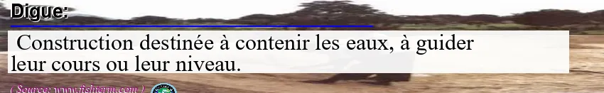 Image: Definition of digue
