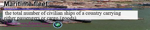 Image: Definition of maritime fleet