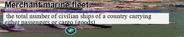 Image: Definition of merchant marine fleet