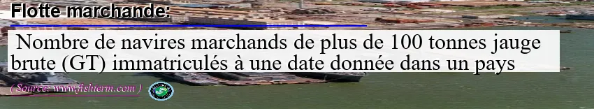 Image: Definition of flotte marchande