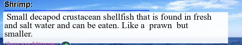 Image: Definition of shrimp