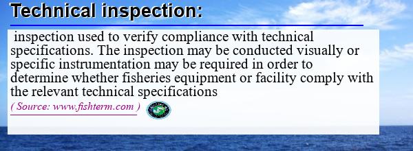 Image: Definition of technical inspection