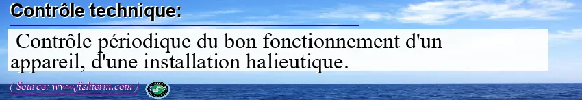 Image: Definition of contrôle technique
