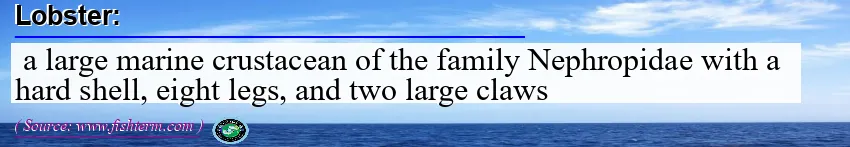 Image: Definition of lobster