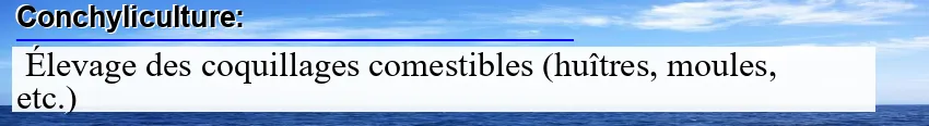 conchyliculture