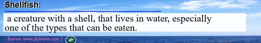 Image: Definition of shellfish