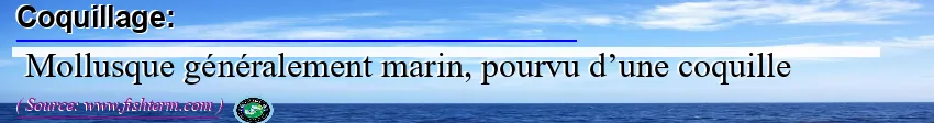 Image: Definition of coquillage