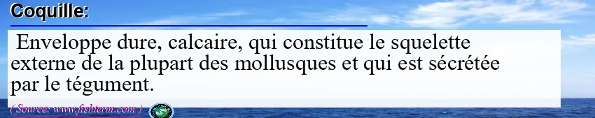 Image: Definition of coquille