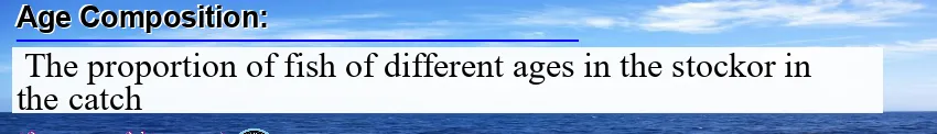 Image: Definition of age composition