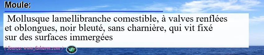Image: Definition of moule