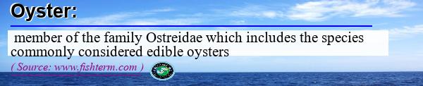 Image: Definition of oyster