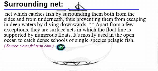 Image: Definition of surrounding net