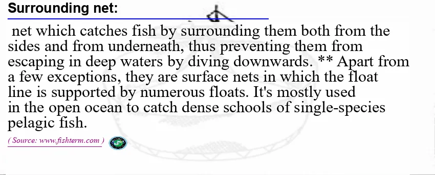 Image: Definition of surrounding net